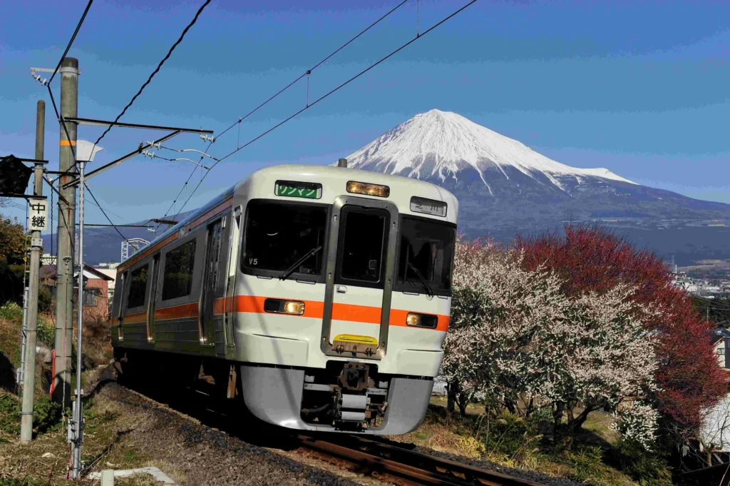 Train - Fuji san